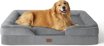 medium-sized dog resting head on bed bolster while sleeping