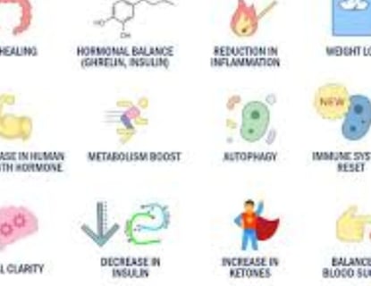 fasting induced autophagy