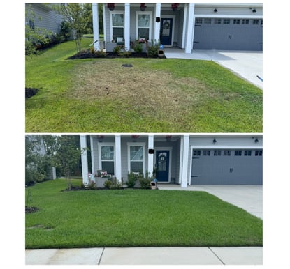 Savannah Quarters, Pooler, GA house weed control