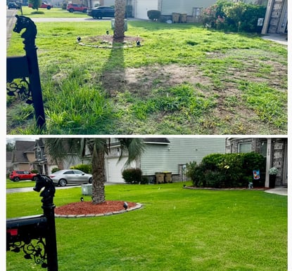 Weed control in Pooler, Guyton, Rincon, GA