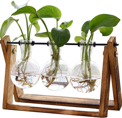 Plant Terrarium with Wooden Stand, Air Planter Bulb Glass Vase Metal Swivel Holder Retro Tabletop