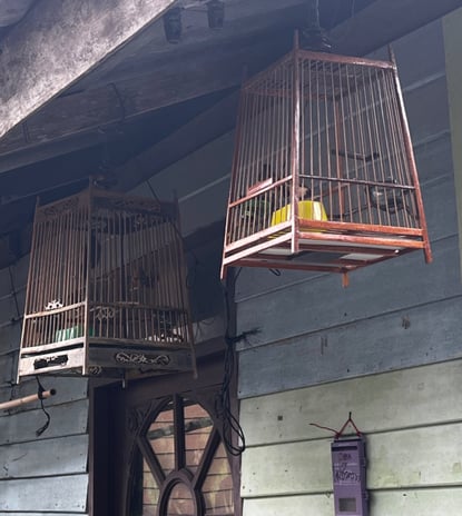 wooden bird cages hang on walkways, Koh Panyee