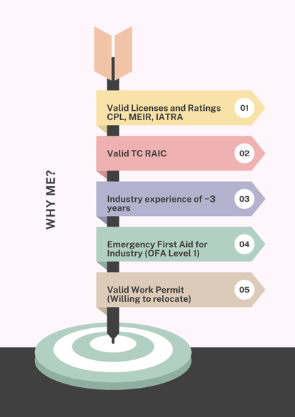 Infographic showing 5 reasons to hire me