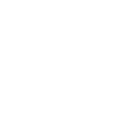 Latido Nativo logo