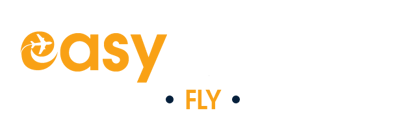 Easy Parwaz Travel and Tours logo