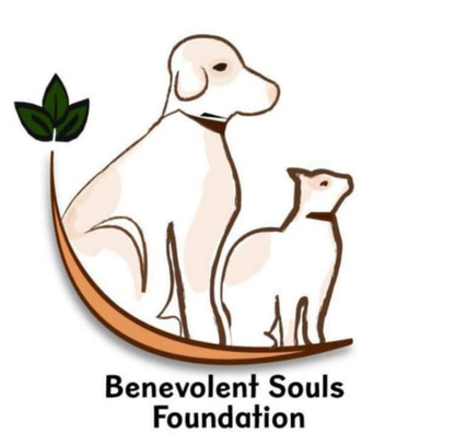 Benevolent Souls Foundation Non Profit Domestic Animal Welfare logo