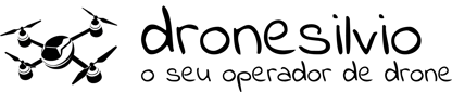 DRONESILVIO.NET logo