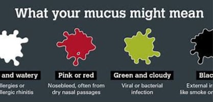 mucous what in it