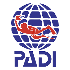 a person in a diving suit and a diving suit Padi Certification