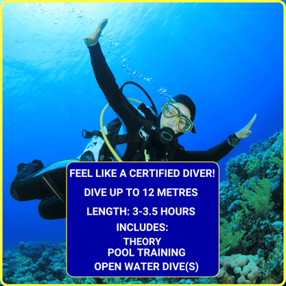 Gili Scuba Diving offers a dive experience to feel like a certified diver: includes 3-5 hours theory, pool training, and an o