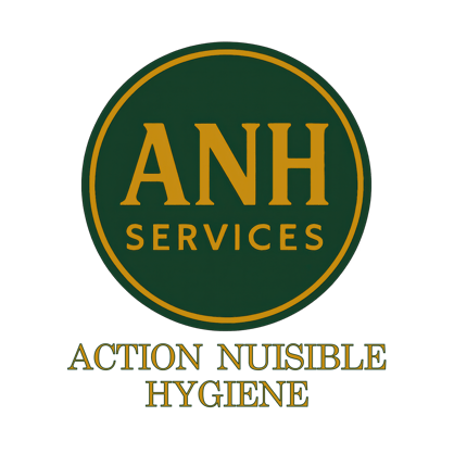 ANH Services logo