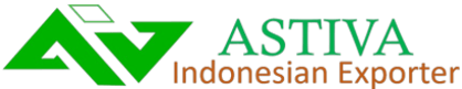 ASTIVA logo