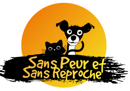 Sans peur et sans reproche logo