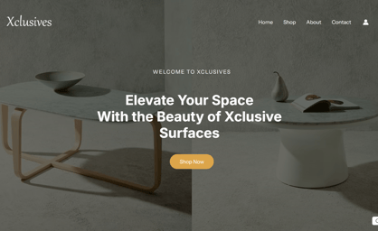 xclusive project