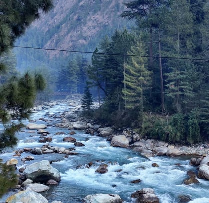 a river running through a forest with rocks and trees