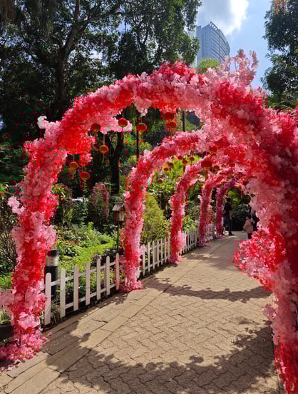 Red flowers over pathway with trees in background in Hong Kong Park