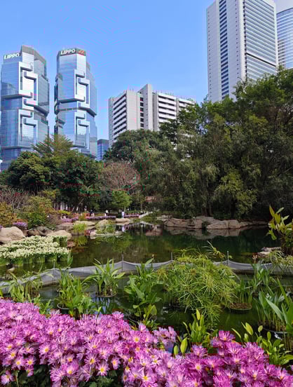 Lake and flowers in foreground with trees and skyscrapers