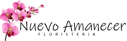 nuevo amancer logo