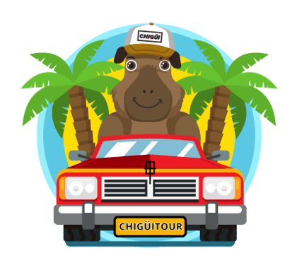 CHIGUITOUR logo