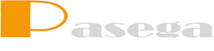 PASEGA Importaciones de accesorios y repuestos automotrices logo
