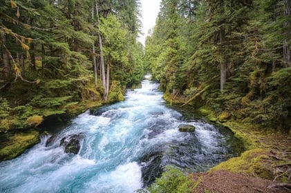 Eugene, OR - blue waters of the McKenzie River running thru forest