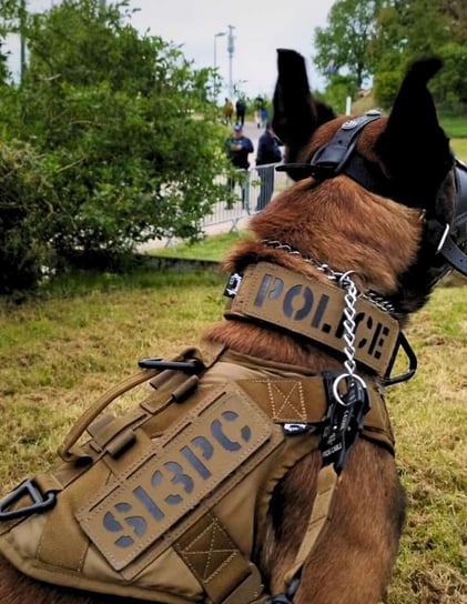 police dog with oenk9 gear