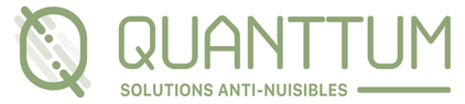 Quanttum logo