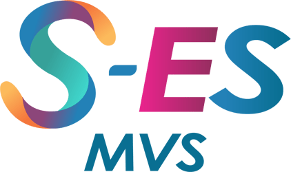 M VIANA SERVIÇOS logo