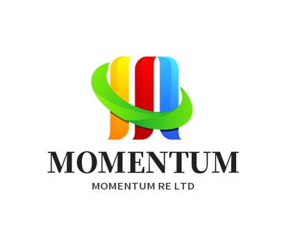MOMENTUM RE LTD logo