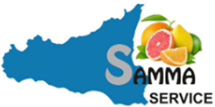 sammaserviceturkey logo