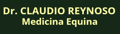 Dr Claudio Reynoso logo