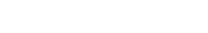 The Data Dev logo