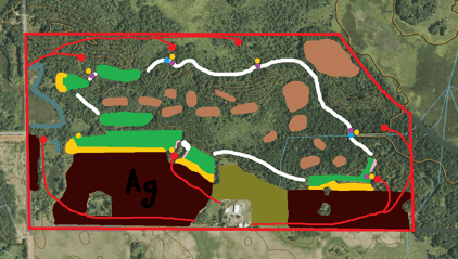 whitetail habitat property design