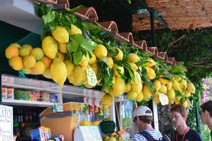 Huge lemons on the Isle of Capri in Italy