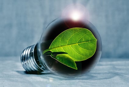 sustainable innovation, bulb with a leaf