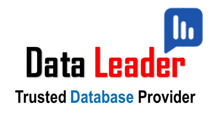 Data Leader logo