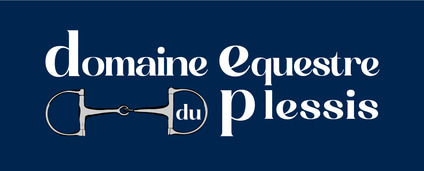 domaine du plessis logo