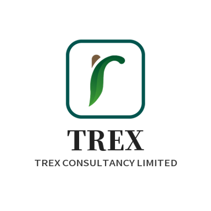 TREX CONSULTANCY LIMITED logo