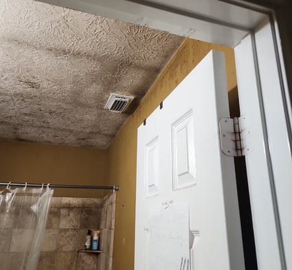 Mold growth in bathroom