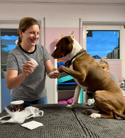 Marissa Füger beim Erste Hilfe Kurs Hund - Marissa behandelt einen Hund