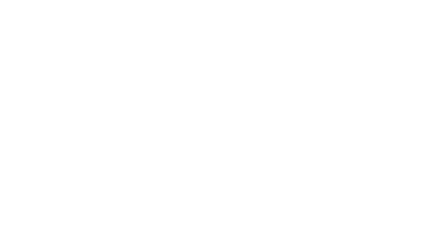 S4MAX logo