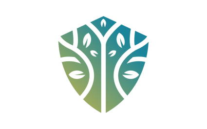 Legacy Consulting Solutions logo