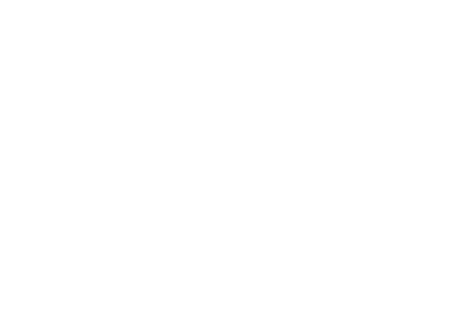 STUDYBURG logo