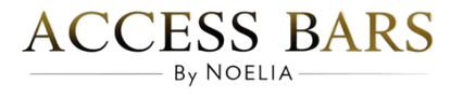Access Barras logo