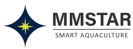 MMstar logo