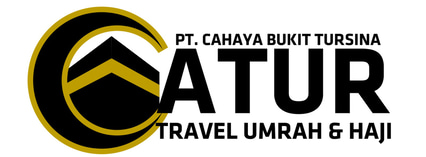 CATUR logo