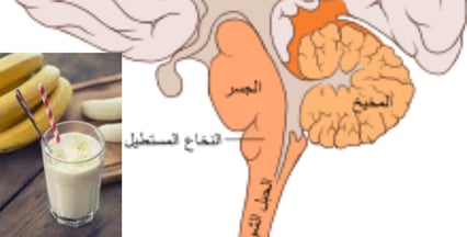 لاتاكل الموز وتنام