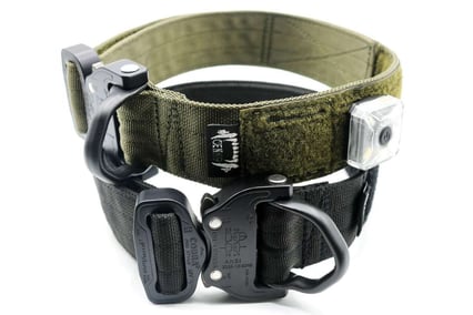 collar with MOLLE system and cobra buckle