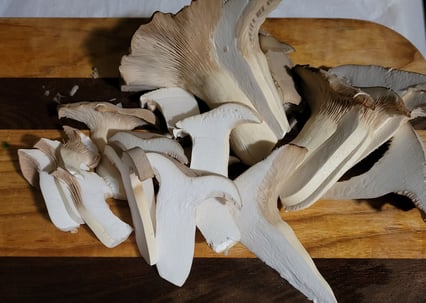 Purchase Kansas City Mushroom Company's fresh mushrooms at the farmers market.