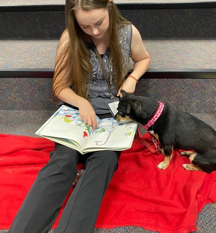 Tender Paws Therapy dog intently watches a girl read a picture book.